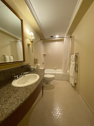 Bathroom 4, General Morgan Inn, Greene