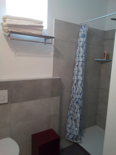 Bathroom 3, The judas trees, Venezia