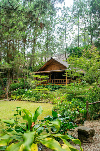 Scenery 4