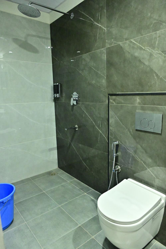 Bathroom 4, Mallika Sapphire, Chikmagalur