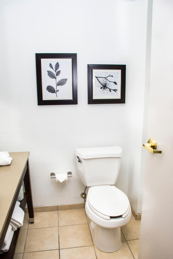 Bathroom 4, Country Inn & Suites by Radisson, Winchester, VA, Frederick
