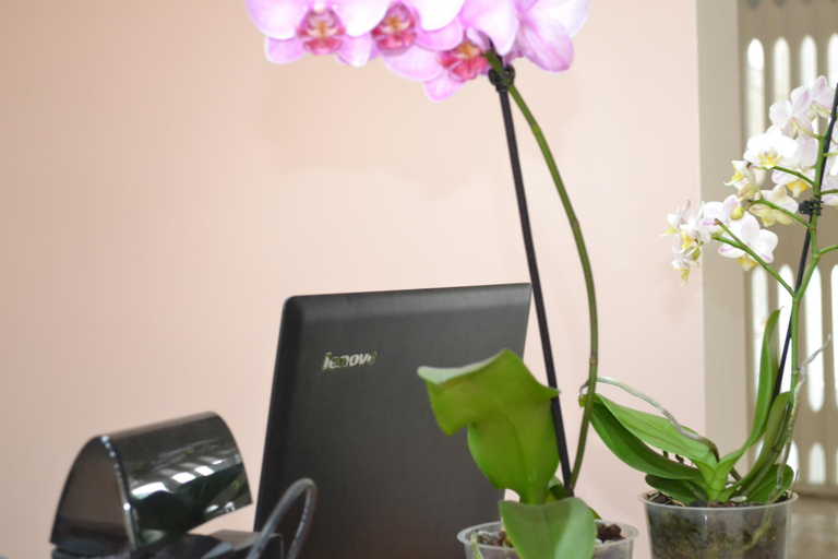 Others 5, Hotel Semiramis, Mangalia