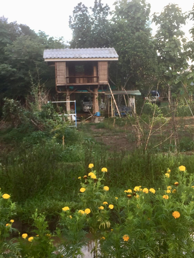 Others 3, i Am i Farm Stay, Mae Taeng