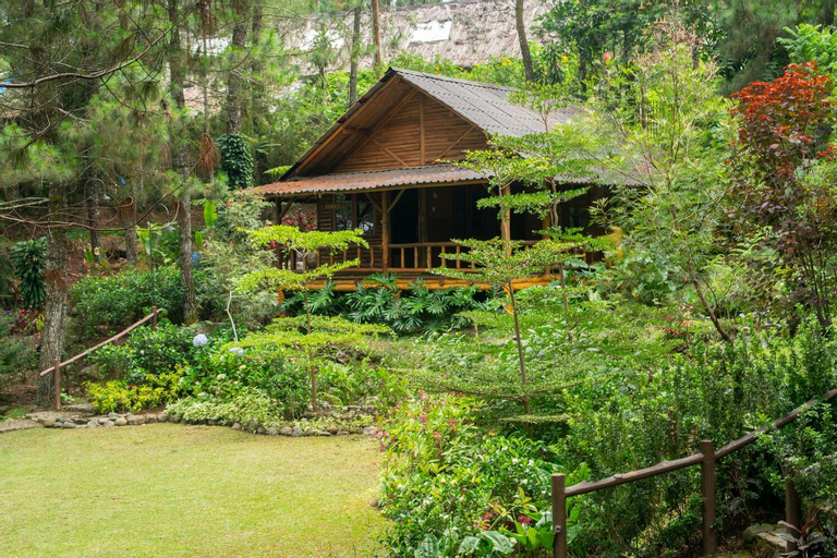 Scenery 3