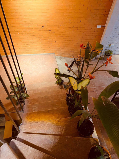 Others 4, May's house (Nha cua May), Hà Đông