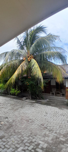 Ekas beach guesthouse and restaurante, Lombok