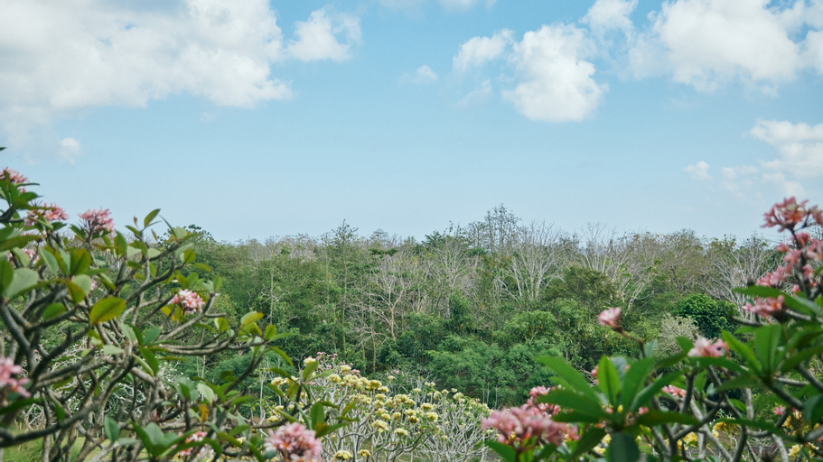 Scenery 19