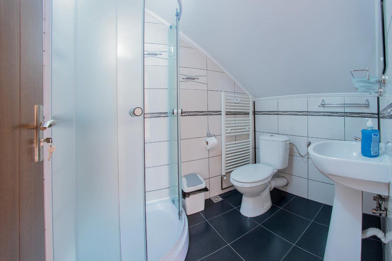 Bathroom 2, Pensiunea XINELA, Baia De Fier