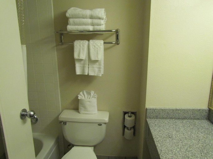 Bathroom 4, Romana Hotel, Houston