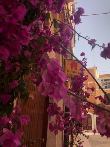 Others 5, Bed & Breakfast De Nittis - Meridia Collection, Barletta-Andria-Trani