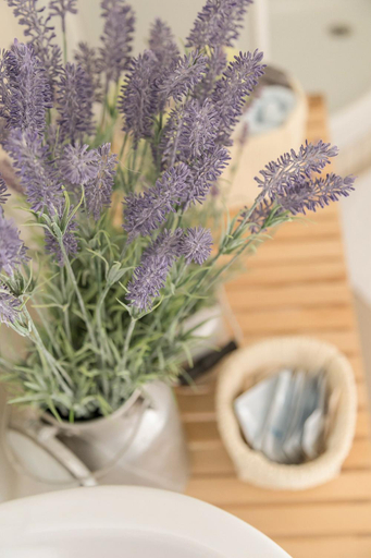 Food & Drinks 5, Glamping & Camping Green Istria, Koper