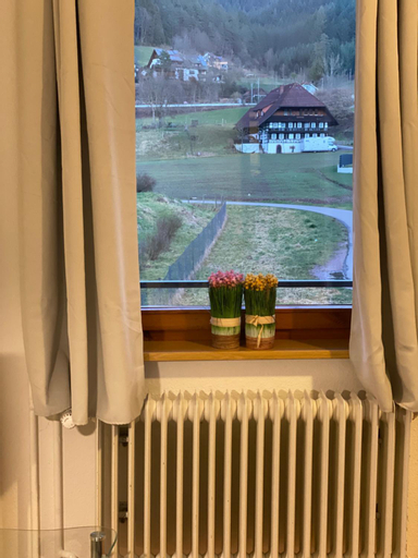 Others 5, Gasthaus Rossle, Ortenaukreis