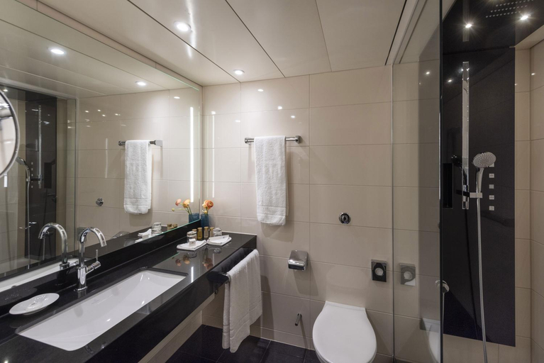 Bathroom 5, Maritim Hotel Ulm, Ulm