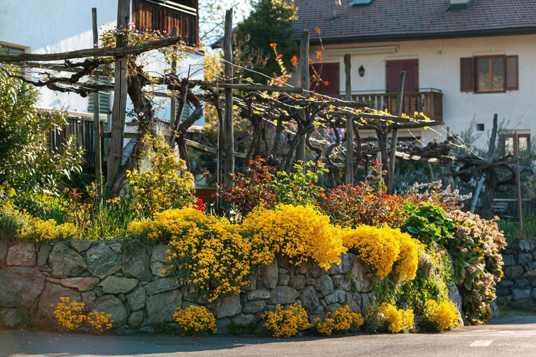 Others 3, Ferienwohnungen St Hippolyt mit Hallenbad, Bolzano