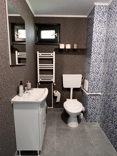 Bathroom 3, Casa Maria Sarata Monteoru, Merei
