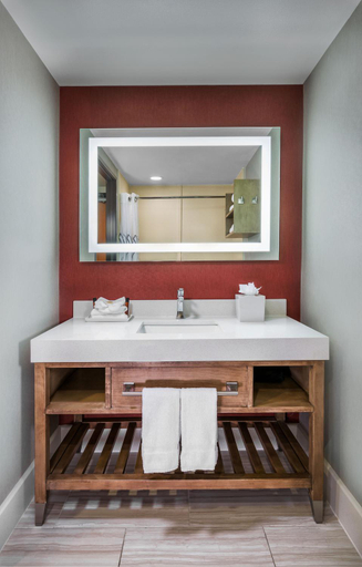 Bathroom 4, Desert Palms Hotel & Suites, Orange
