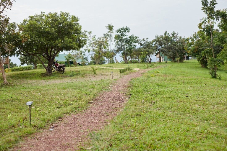 Others 5, ngirisi hill silverback  lodge-bwindi, Kinkiizi