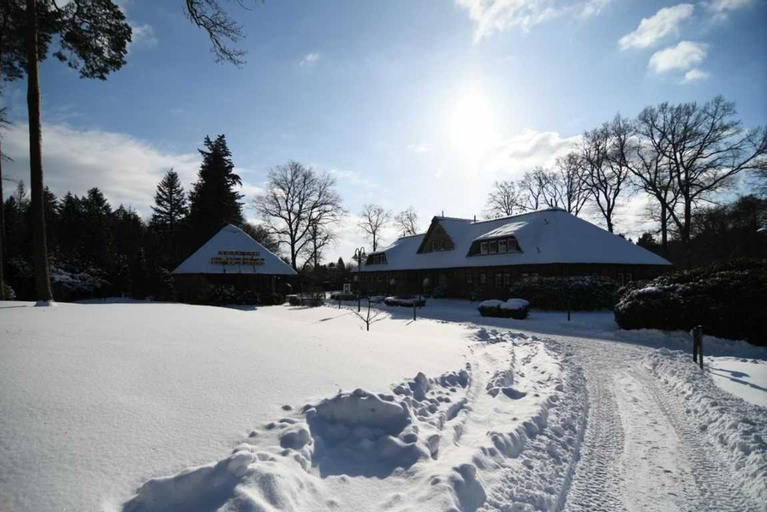 Appartement Whispering Tree Groß, Osnabrück