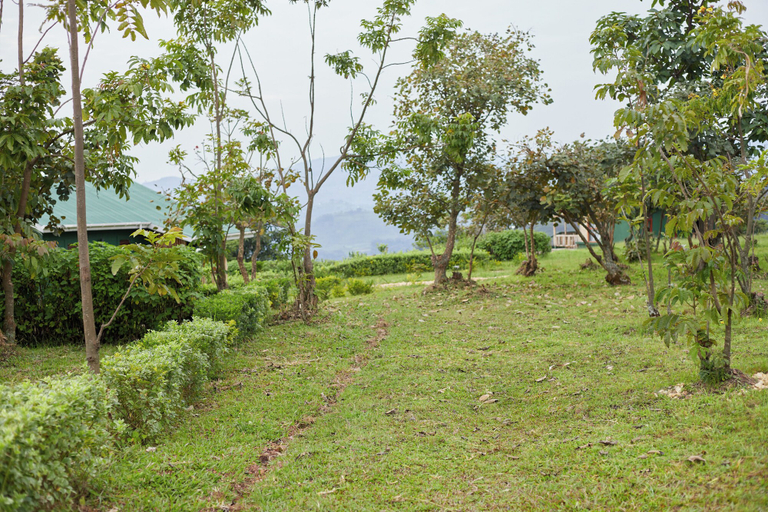 Others 4, ngirisi hill silverback  lodge-bwindi, Kinkiizi