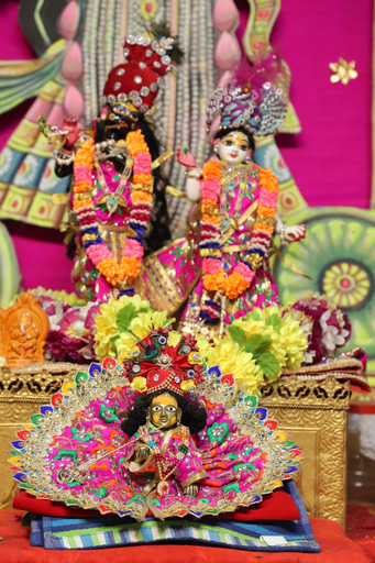 Food & Drinks, ANAND SEWA DHAM, Mathura
