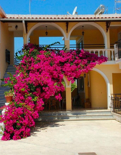 Others 4, Zante 523, Ionian Islands