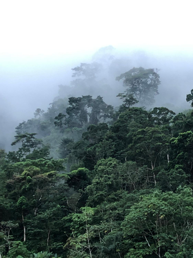 Scenery 10