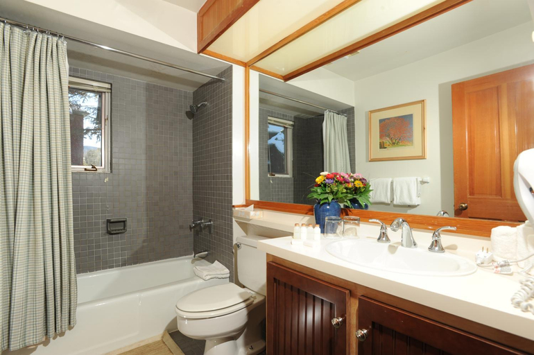 Bathroom 3, Forest Condominiums by Keystone Resort, Summit
