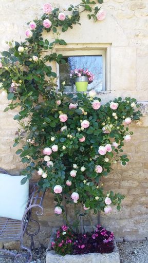 La Grange de Gournay, Deux-Sèvres