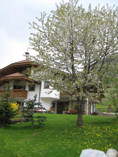 Others 5, B&B Ciasa Weber, Trento