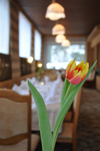 Food & Drinks 4, Gazauner Hof, Bludenz