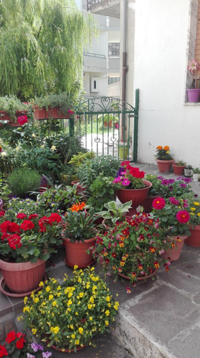 Others 5, B&B A casa di Carla, Potenza