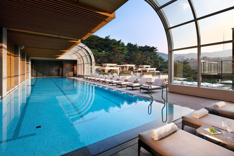 Swimming Pool 9