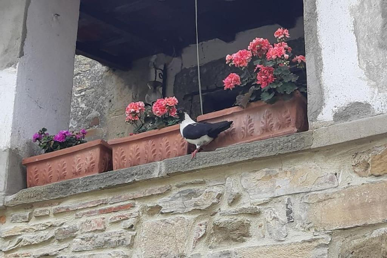 La casa di Nina, Arezzo