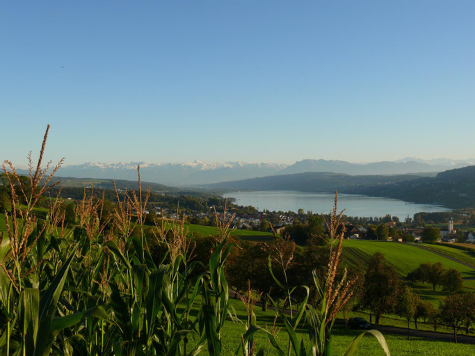 Scenery 3