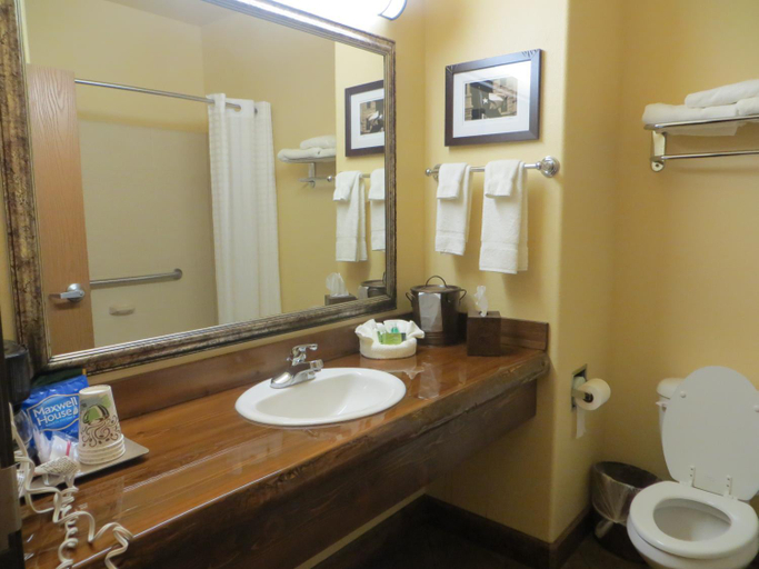 Bathroom 4, Hotel Texas Hallettsville, Lavaca