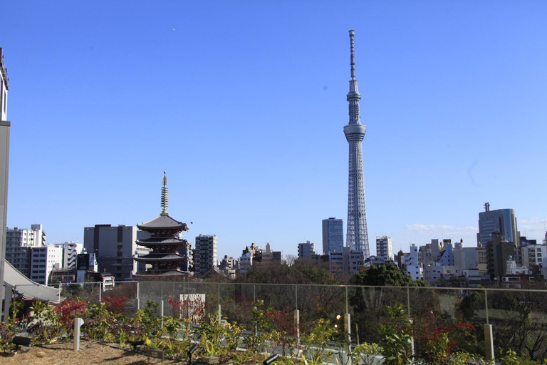 Scenery 8