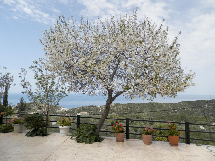 Others 2, Green Villa, Ionian Islands