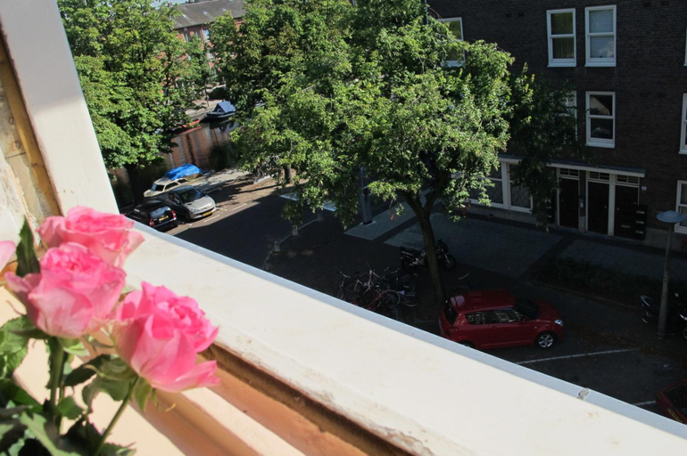 Others 4, Wild Roses, Amsterdam