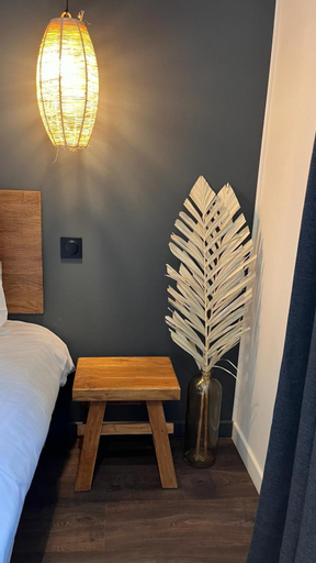 Hotel Rive Sud, Indre-et-Loire