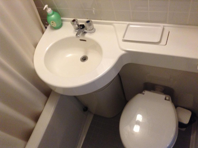 Bathroom, Hotel Happokan, Hakuba