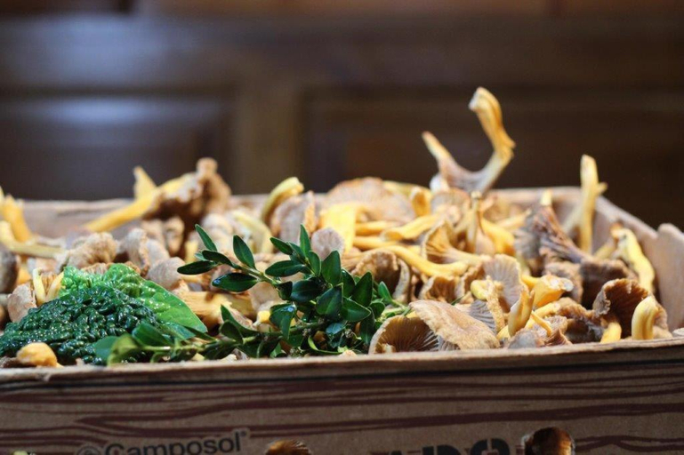 Food & Drinks 5, Gasthaus Hofmann, Haßberge