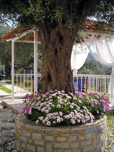 Others 2, Golden Beach Apartments, East Macedonia and Thrace