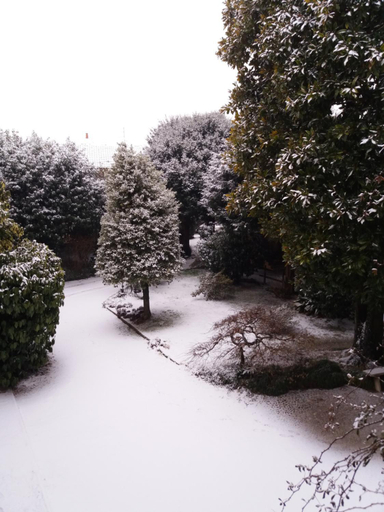 Others 4, B&B il Cortile Malpensa, Varese