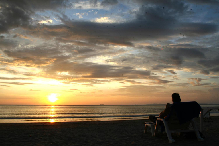 Scenery 19