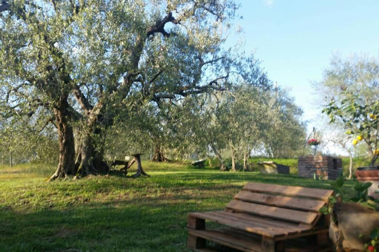 Il Picchio Verde, Perugia