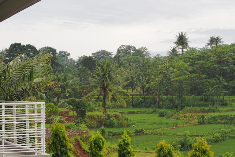 Scenery 3