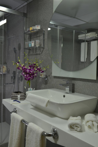Bathroom 3, Regency Palace Hotel, Kasrouane