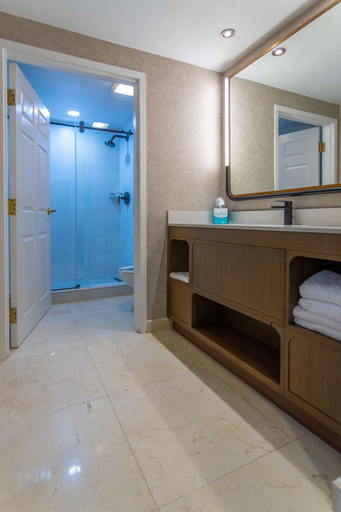 Bathroom 2, Hotel Flor Tampa Downtown, Tapestry Collection by Hilton, Hillsborough