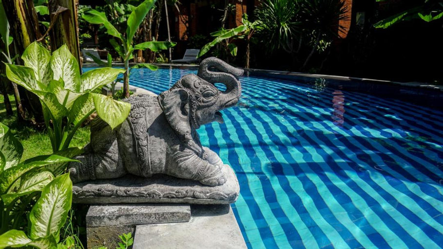 Swimming Pool 9