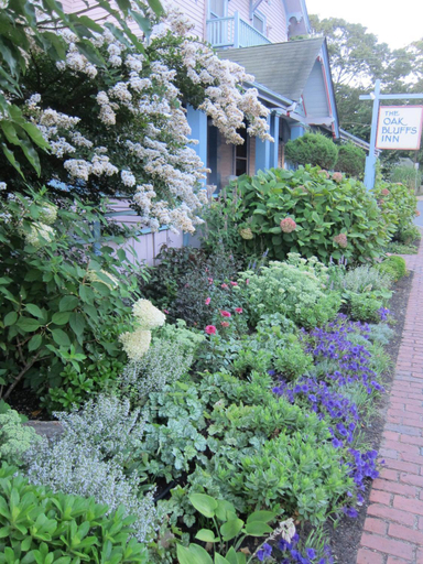 Others 5, The Oak Bluffs Inn, Dukes